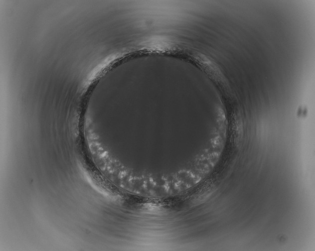 X0000113980496200910231711