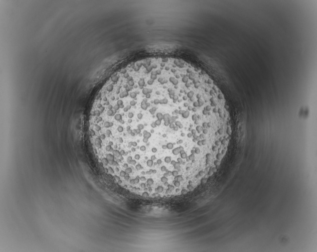 X0000113980498200910231711