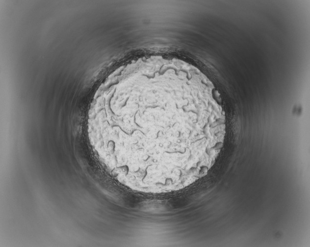 X0000113980499200910231711