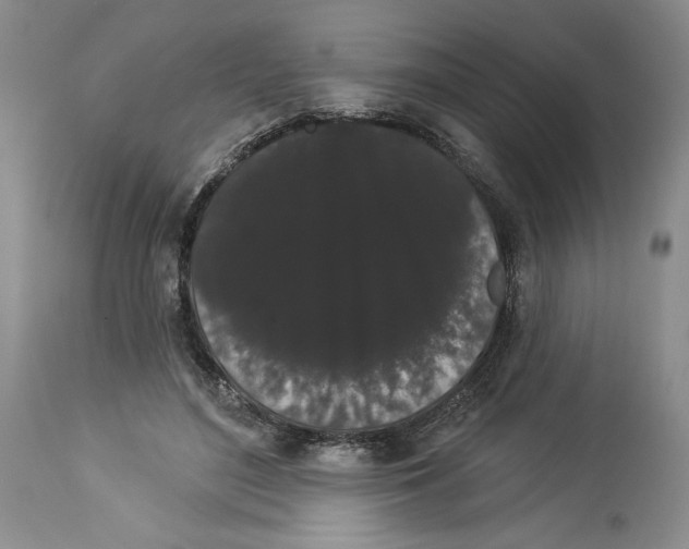 X0000113980500200910231711