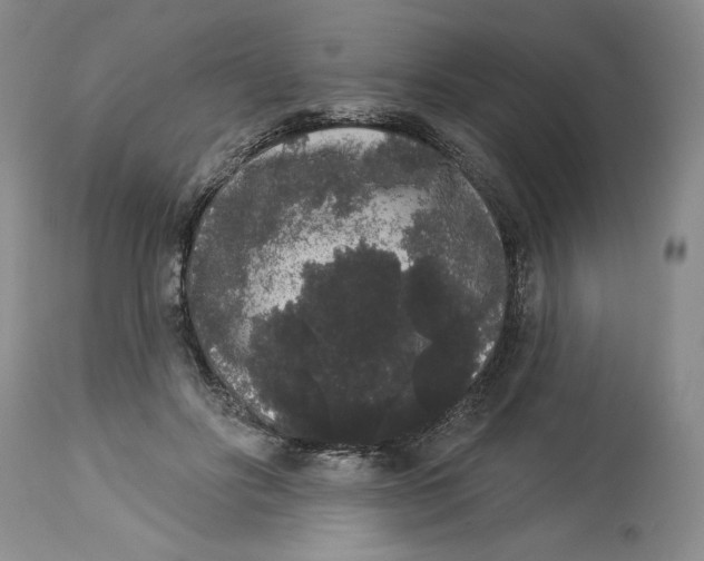 X0000113980502200910231711