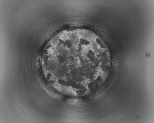 X0000113980503200910231711