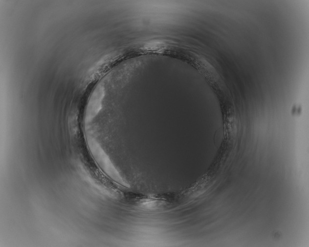 X0000113980504200910231711