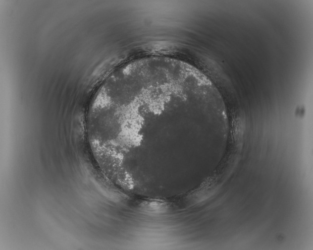 X0000113980506200910231711