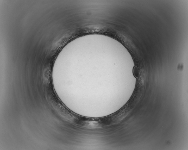 X0000113980509200910231711