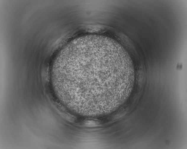 X0000113980510200910231711