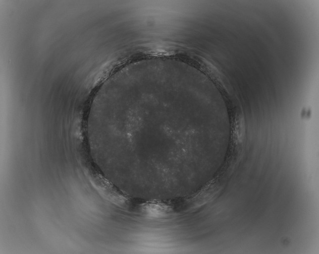 X0000113980512200910231711