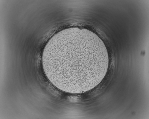 X0000113980513200910231711