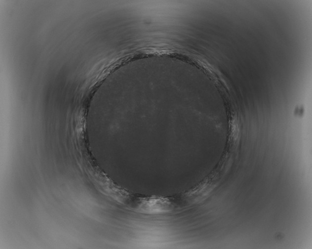 X0000113980517200910231711