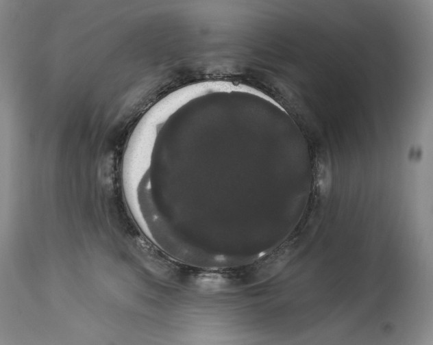 X0000113980519200910231711