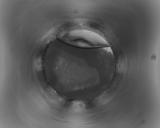 X0000113980520200910231711