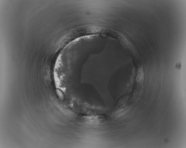 X0000113980524200910231711