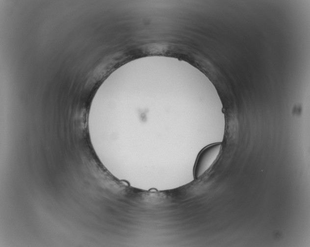 X0000113980525200910231711