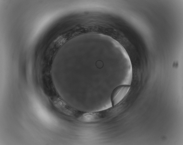 X0000113980526200910231711