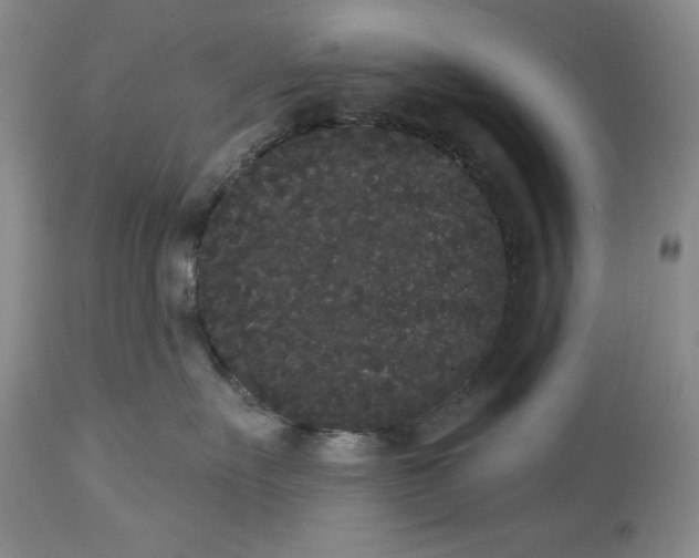 X0000113980527200910231711