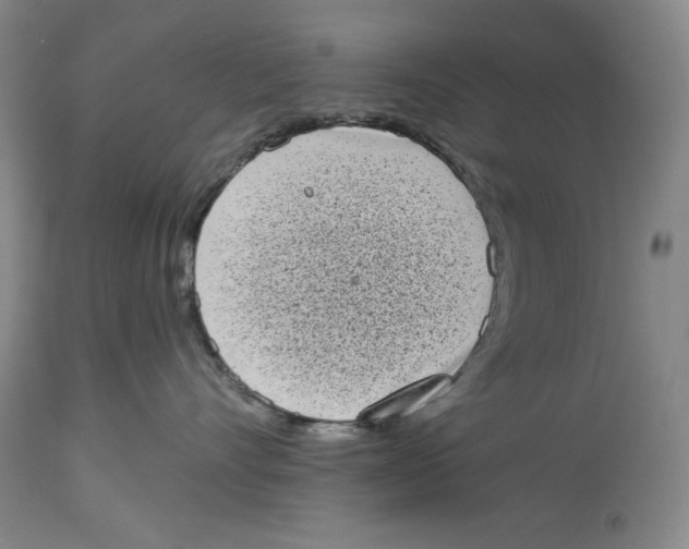 X0000113980528200910231711