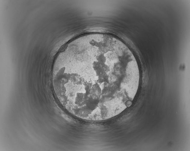 X0000113980529200910231710