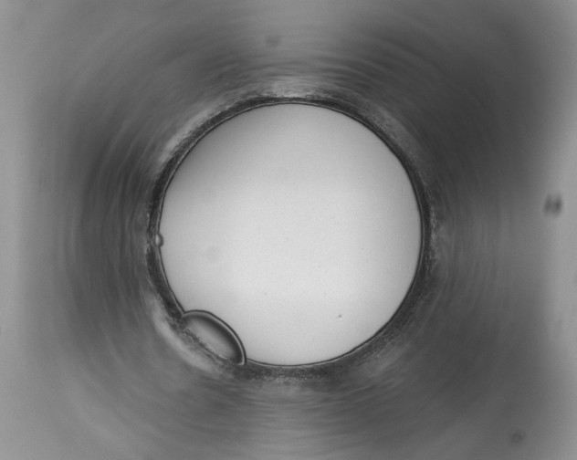 X0000113980530200910231710