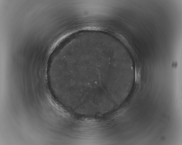 X0000113980531200910231710