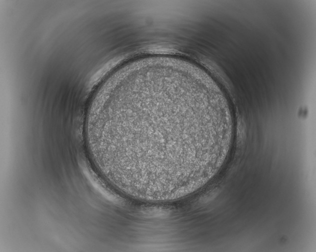 X0000113980533200910231710