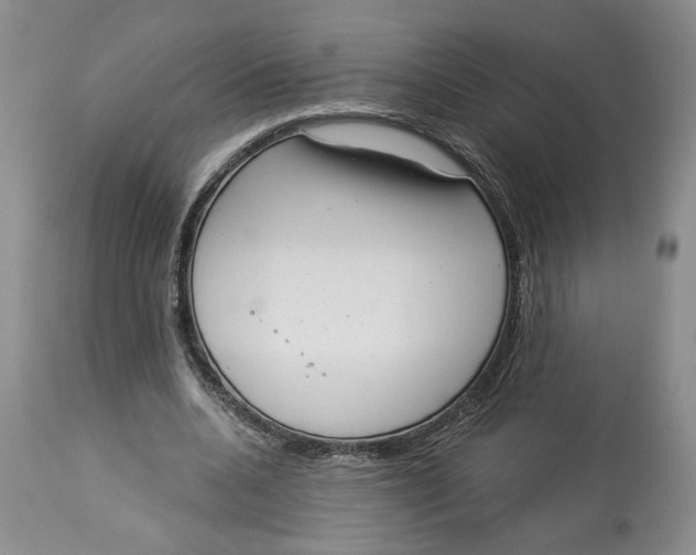 X0000113980536200910231710