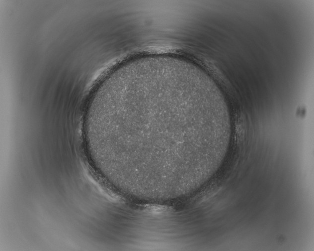 X0000113980539200910231710