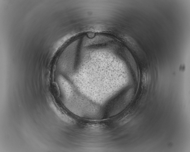 X0000113980540200910231710