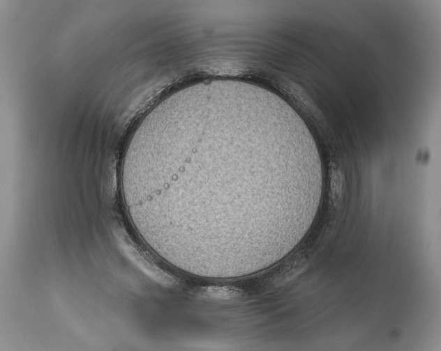 X0000113980541200910231710