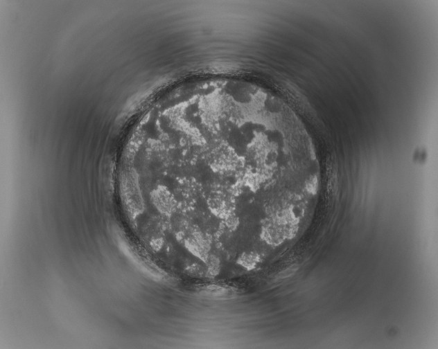 X0000113980542200910231710