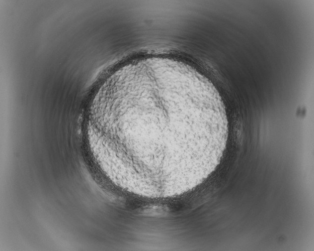 X0000113980543200910231710