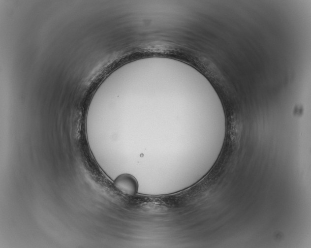 X0000113980544200910231710