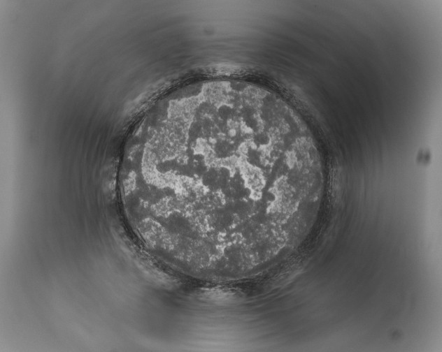 X0000113980545200910231710