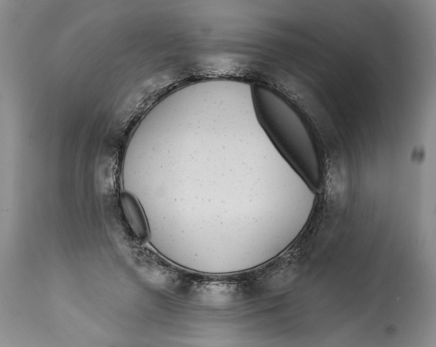 X0000113980546200910231710