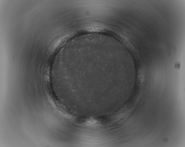 X0000113980547200910231710