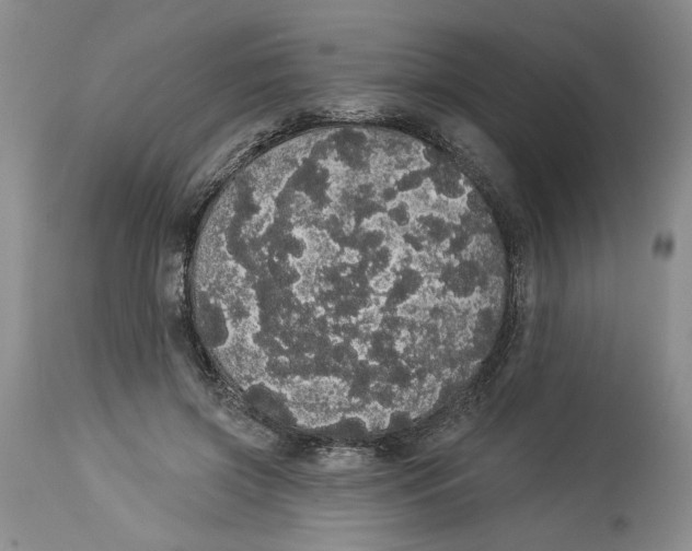 X0000113980549200910231710