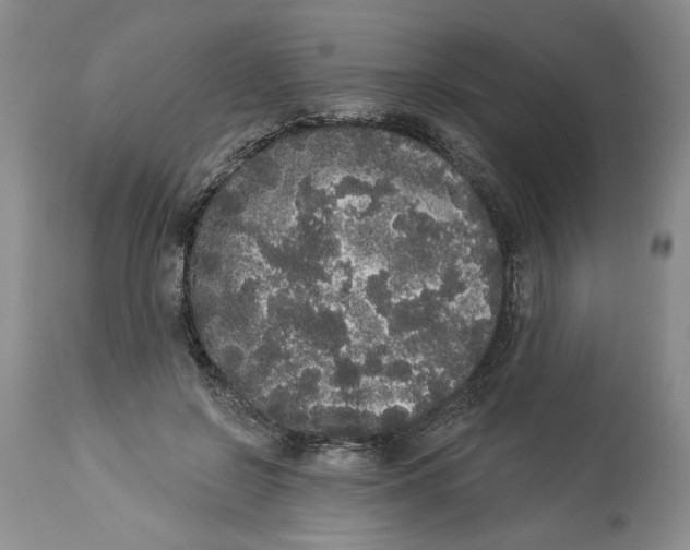 X0000113980550200910231710