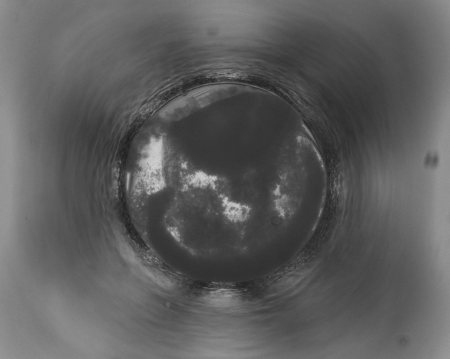 X0000113980551200910231710