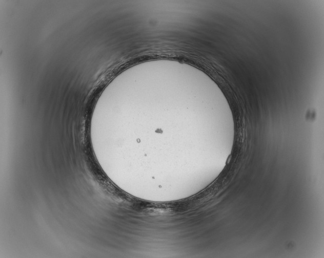 X0000113980552200910231710