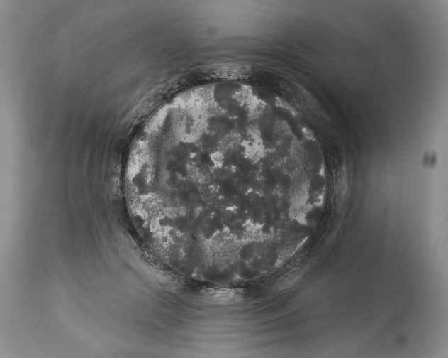 X0000113980553200910231710