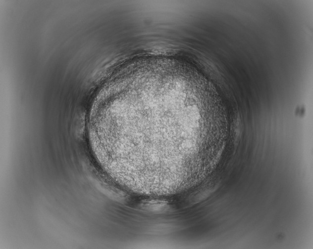 X0000113980554200910231710