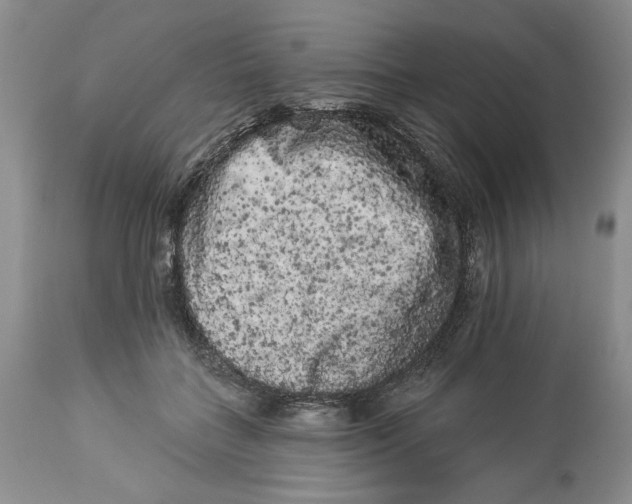 X0000113980555200910231710