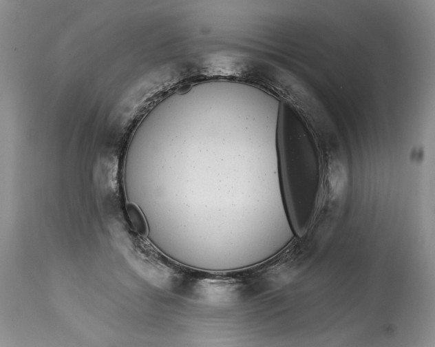 X0000113980556200910231710