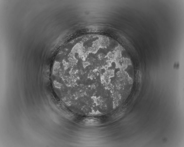 X0000113980557200910231710