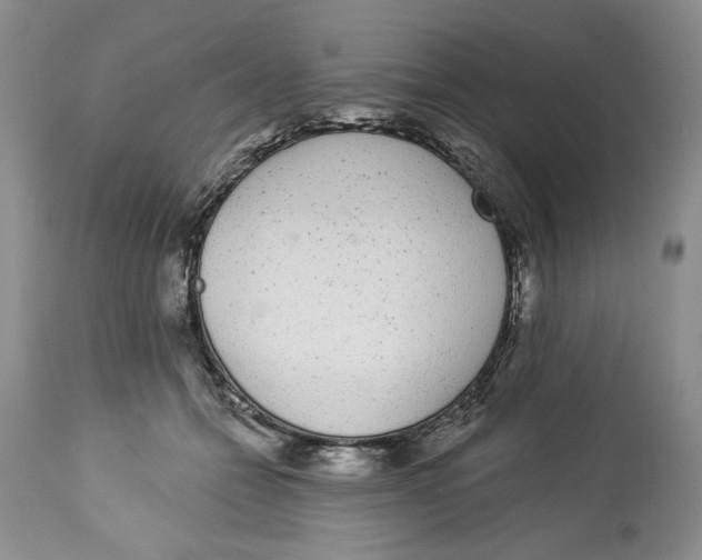 X0000113980558200910231710