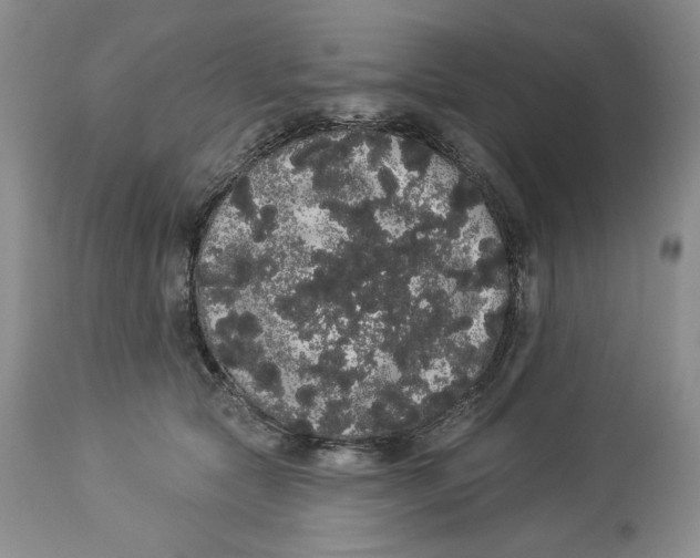 X0000113980561200910231710