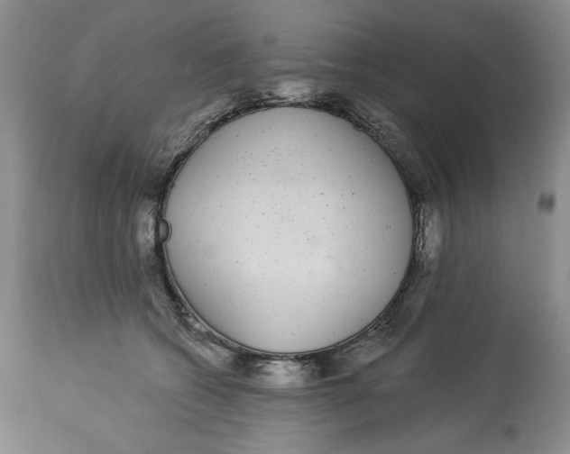 X0000113980562200910231710