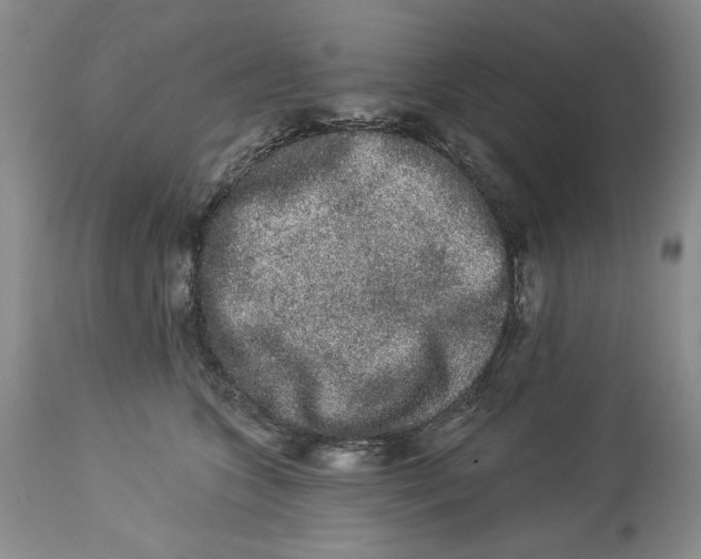 X0000113980563200910231711