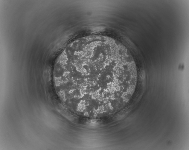 X0000113980565200910231711