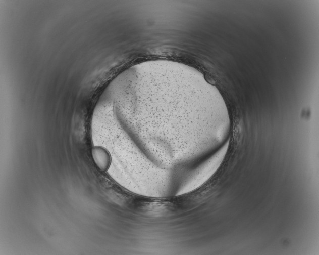 X0000113980566200910231711