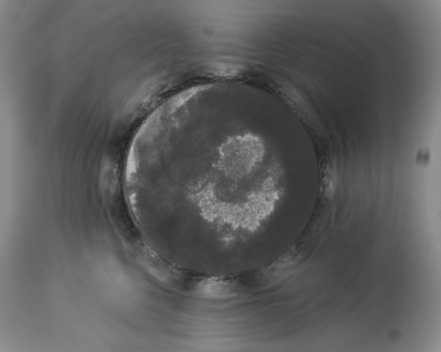 X0000113980568200910231711